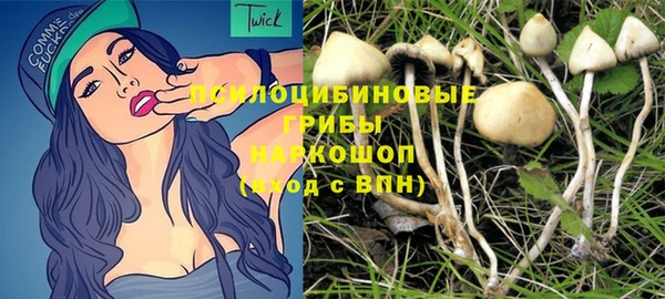 PSILOCYBIN Белоозёрский